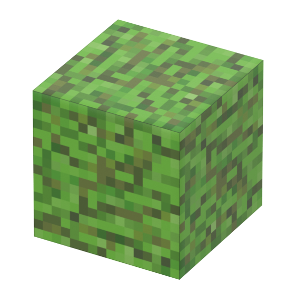 Pack Leaves (5pcs)