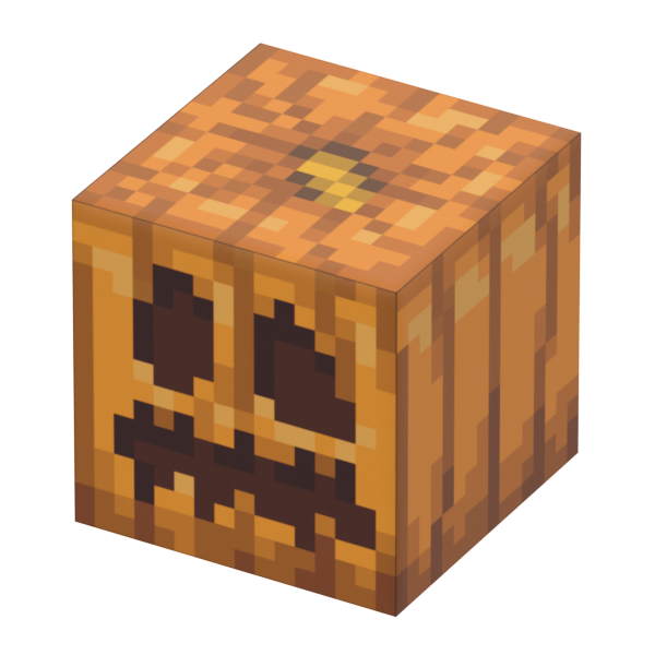 Pack Pumpkin (5pcs)