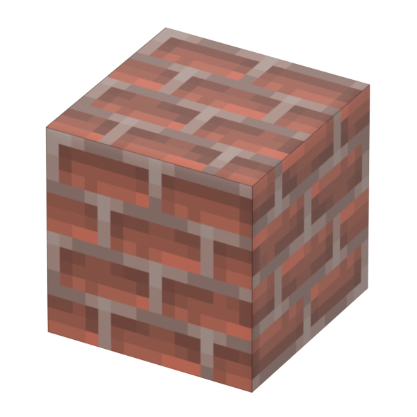 Pack Bricks (20pcs)